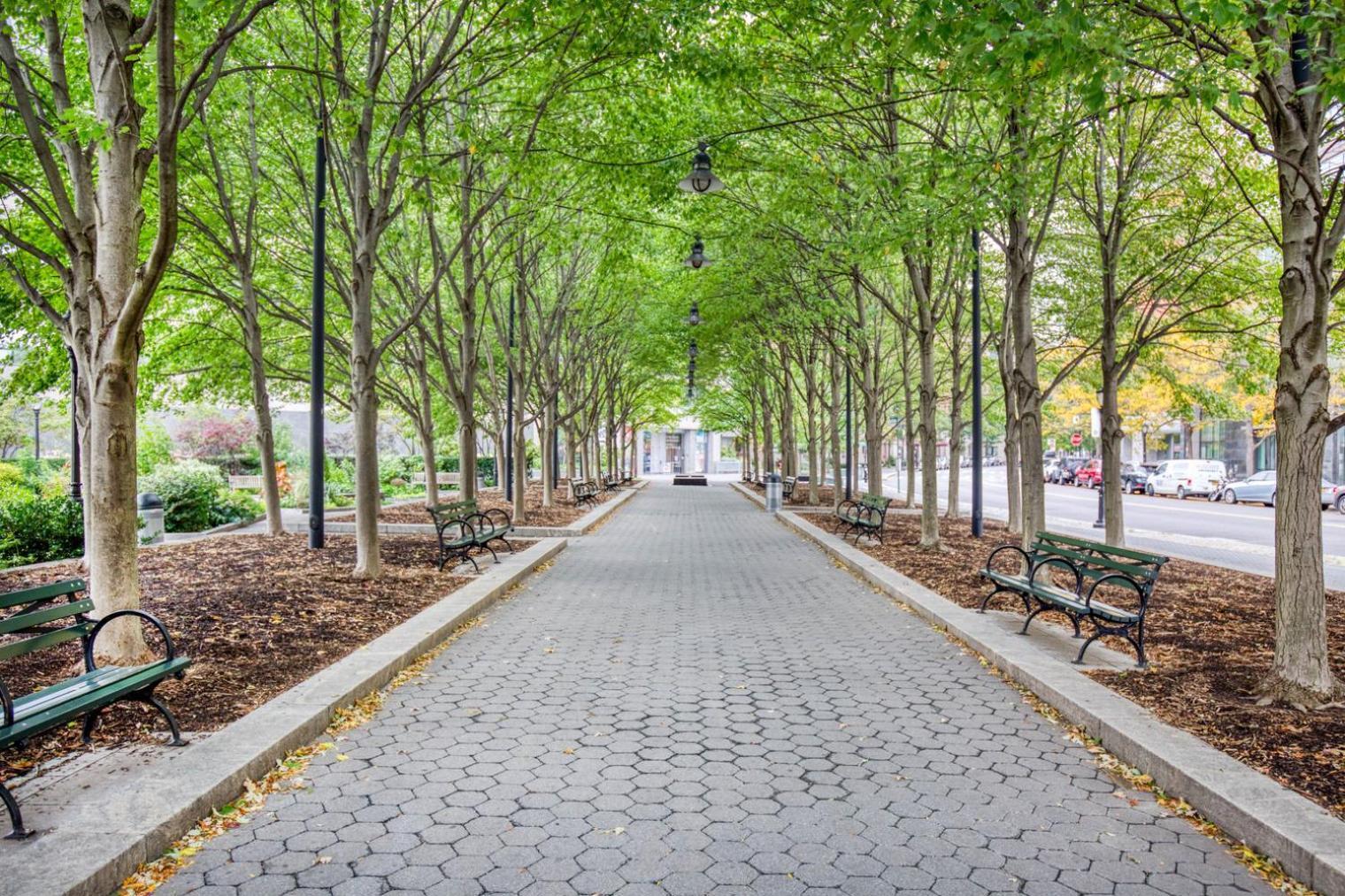 Blueground Financial District 2bd Nyc-1621 *